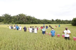 Agriculture