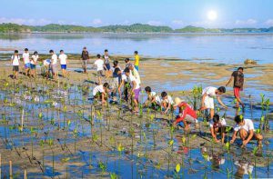 Integrated Coastal Resource Management