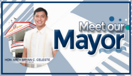 Meet Our Mayor