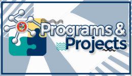 Program & Projects