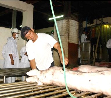 Slaughterhouse