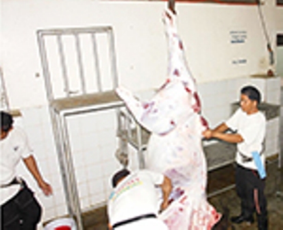 Slaughterhouse