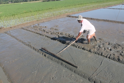 Land Preparation of Soil Amelioration on Zinc Deficient Areas