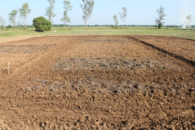 Techno Demo Farm