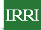 IRRI Logo