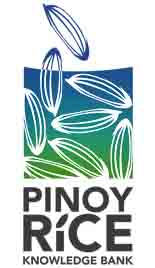Pinoy Rice Knowledge Bank Logo