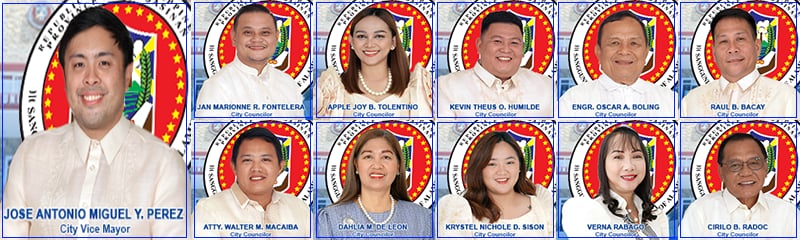 Sangguniang Panlungsod Banner
